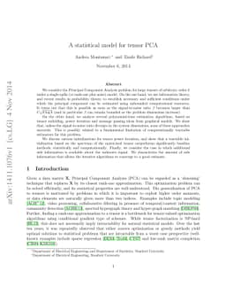 A statistical model for tensor PCA