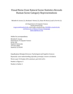 Visual Noise from Natural Scene Statistics Reveals Human Scene Category
  Representations