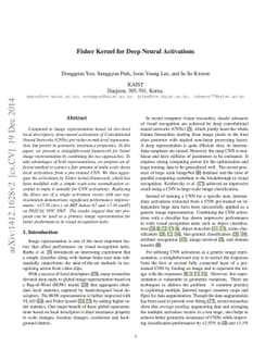 Fisher Kernel for Deep Neural Activations