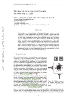 The local low-dimensionality of natural images