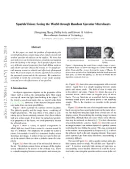 Sparkle Vision: Seeing the World through Random Specular Microfacets