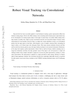 Robust Visual Tracking via Convolutional Networks