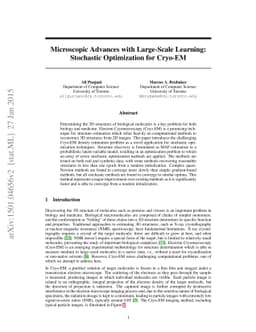 Microscopic Advances with Large-Scale Learning: Stochastic Optimization
  for Cryo-EM