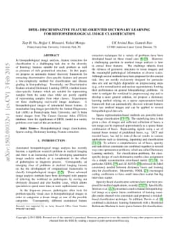DFDL: Discriminative Feature-oriented Dictionary Learning for
  Histopathological Image Classification