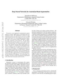 Deep Neural Networks for Anatomical Brain Segmentation