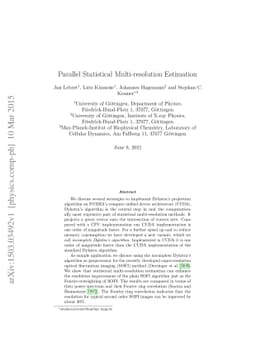 Parallel Statistical Multi-resolution Estimation