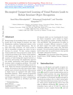 Bio-inspired Unsupervised Learning of Visual Features Leads to Robust
  Invariant Object Recognition