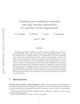 Combining local regularity estimation and total variation optimization
  for scale-free texture segmentation