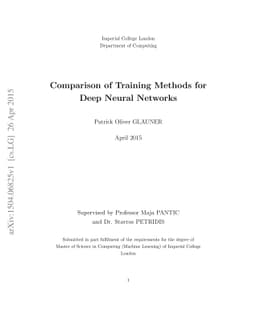 Comparison of Training Methods for Deep Neural Networks