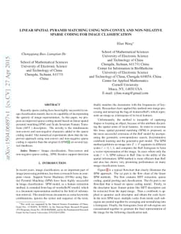 Linear Spatial Pyramid Matching Using Non-convex and non-negative Sparse
  Coding for Image Classification