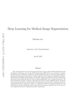 Deep Learning for Medical Image Segmentation