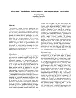 Multi-path Convolutional Neural Networks for Complex Image
  Classification