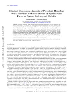 Principal Component Analysis of Persistent Homology Rank Functions with
  case studies of Spatial Point Patterns, Sphere Packing and Colloids