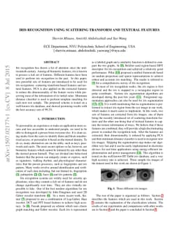 Iris Recognition Using Scattering Transform and Textural Features