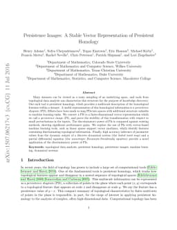 Persistence Images: A Stable Vector Representation of Persistent
  Homology