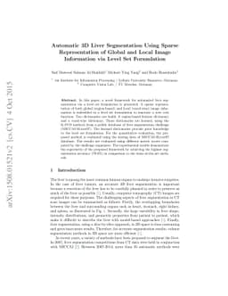 Automatic 3D Liver Segmentation Using Sparse Representation of Global
  and Local Image Information via Level Set Formulation