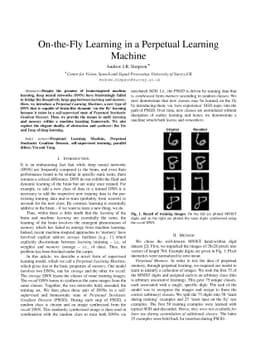 On-the-Fly Learning in a Perpetual Learning Machine