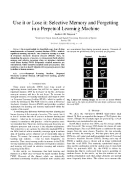 Use it or Lose it: Selective Memory and Forgetting in a Perpetual
  Learning Machine