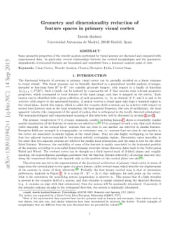 Geometry and dimensionality reduction of feature spaces in primary
  visual cortex