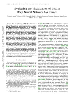 Evaluating the visualization of what a Deep Neural Network has learned