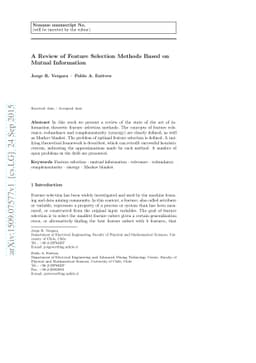 A Review of Feature Selection Methods Based on Mutual Information