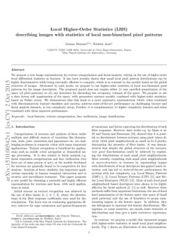 Local Higher-Order Statistics (LHS) describing images with statistics of
  local non-binarized pixel patterns