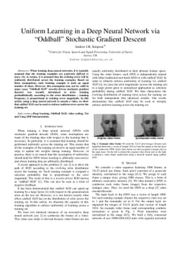 Uniform Learning in a Deep Neural Network via "Oddball" Stochastic
  Gradient Descent
