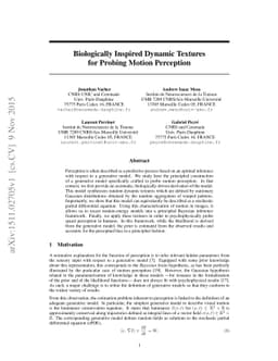 Biologically Inspired Dynamic Textures for Probing Motion Perception