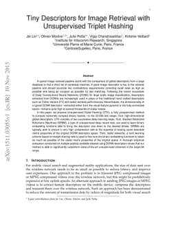 Tiny Descriptors for Image Retrieval with Unsupervised Triplet Hashing