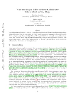 What the collapse of the ensemble Kalman filter tells us about particle
  filters