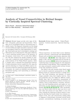 Analysis of Vessel Connectivities in Retinal Images by Cortically
  Inspired Spectral Clustering