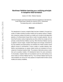 Nonlinear Hebbian learning as a unifying principle in receptive field
  formation