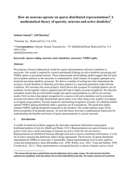 How do neurons operate on sparse distributed representations? A
  mathematical theory of sparsity, neurons and active dendrites