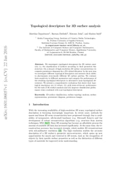 Topological descriptors for 3D surface analysis