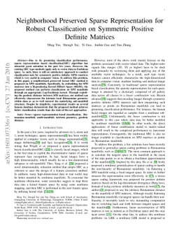 Neighborhood Preserved Sparse Representation for Robust Classification
  on Symmetric Positive Definite Matrices