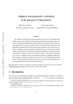 Adaptive non-parametric estimation in the presence of dependence