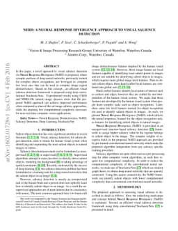 NeRD: a Neural Response Divergence Approach to Visual Salience Detection