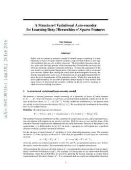 A Structured Variational Auto-encoder for Learning Deep Hierarchies of
  Sparse Features