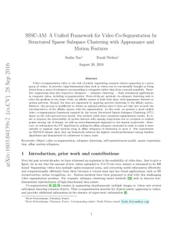 SSSC-AM: A Unified Framework for Video Co-Segmentation by Structured
  Sparse Subspace Clustering with Appearance and Motion Features