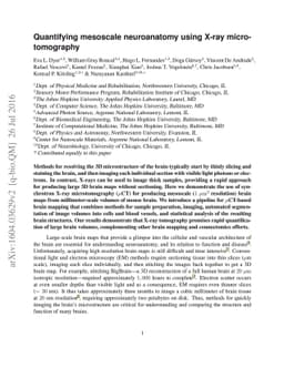 Quantifying mesoscale neuroanatomy using X-ray microtomography