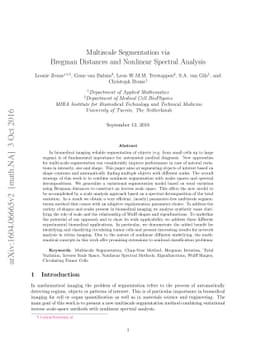 Multiscale Segmentation via Bregman Distances and Nonlinear Spectral
  Analysis