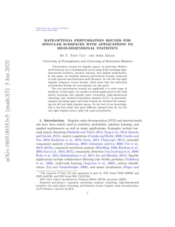 Rate-Optimal Perturbation Bounds for Singular Subspaces with
  Applications to High-Dimensional Statistics