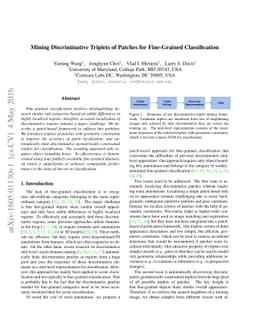 Mining Discriminative Triplets of Patches for Fine-Grained
  Classification
