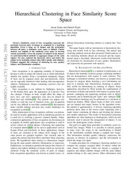 Hierarchical Clustering in Face Similarity Score Space