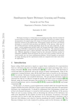 Simultaneous Sparse Dictionary Learning and Pruning
