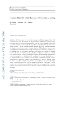 Domain Transfer Multi-Instance Dictionary Learning