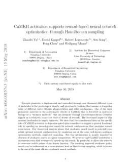 CaMKII activation supports reward-based neural network optimization
  through Hamiltonian sampling