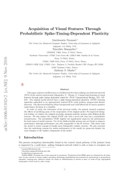 Acquisition of Visual Features Through Probabilistic
  Spike-Timing-Dependent Plasticity