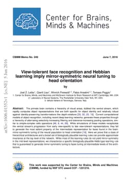 View-tolerant face recognition and Hebbian learning imply
  mirror-symmetric neural tuning to head orientation