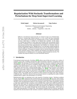 Regularization With Stochastic Transformations and Perturbations for
  Deep Semi-Supervised Learning